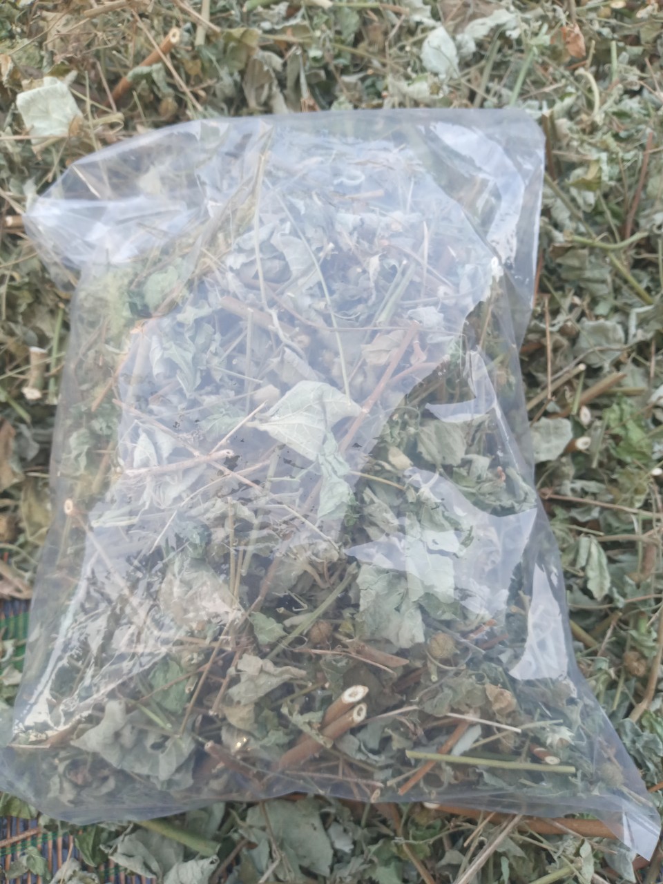 Ké dược liệu 500g phơi khô