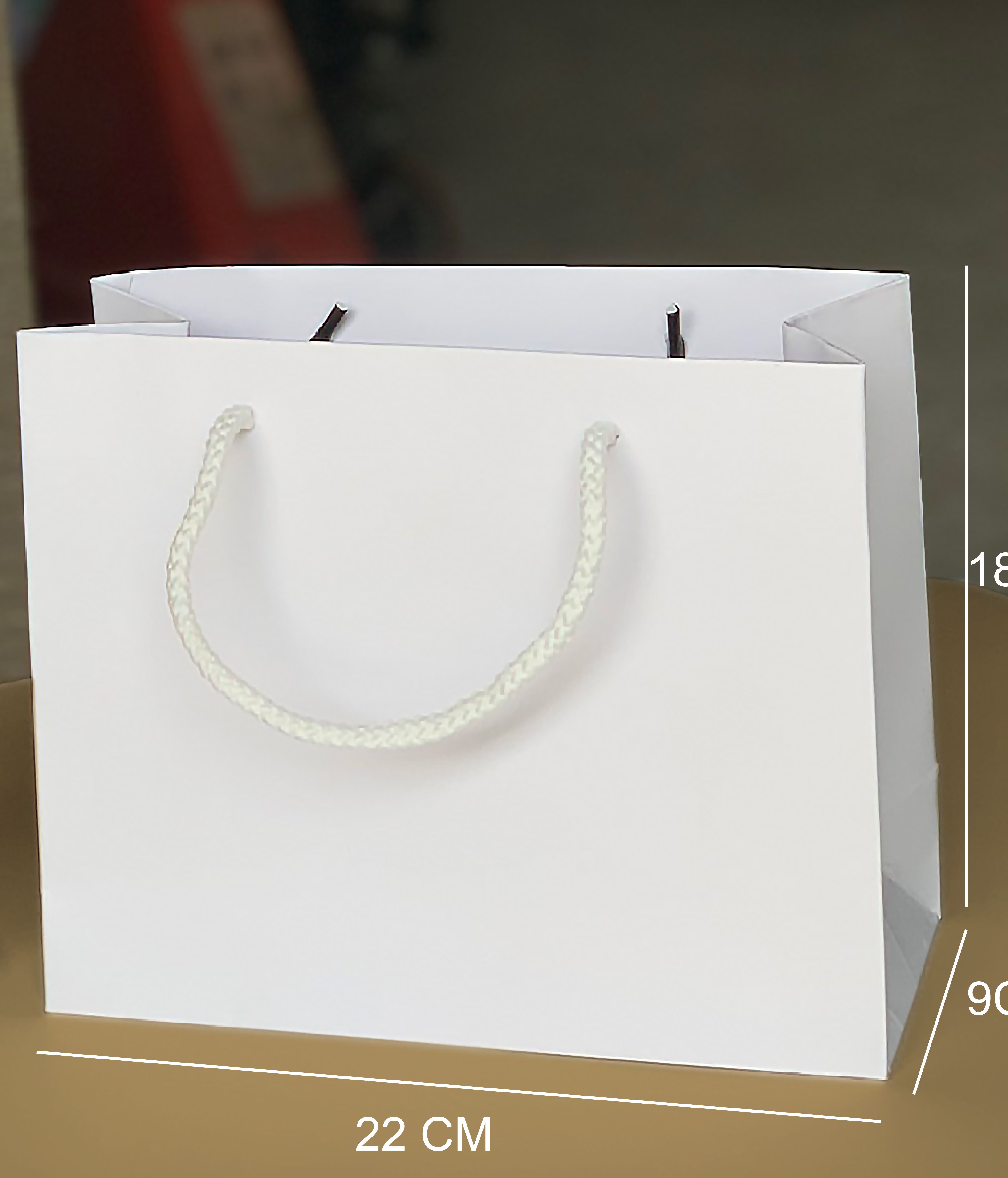Combo 100 Túi giấy đựng mỹ phầm trơn IT04 (18 x 22 x 9)