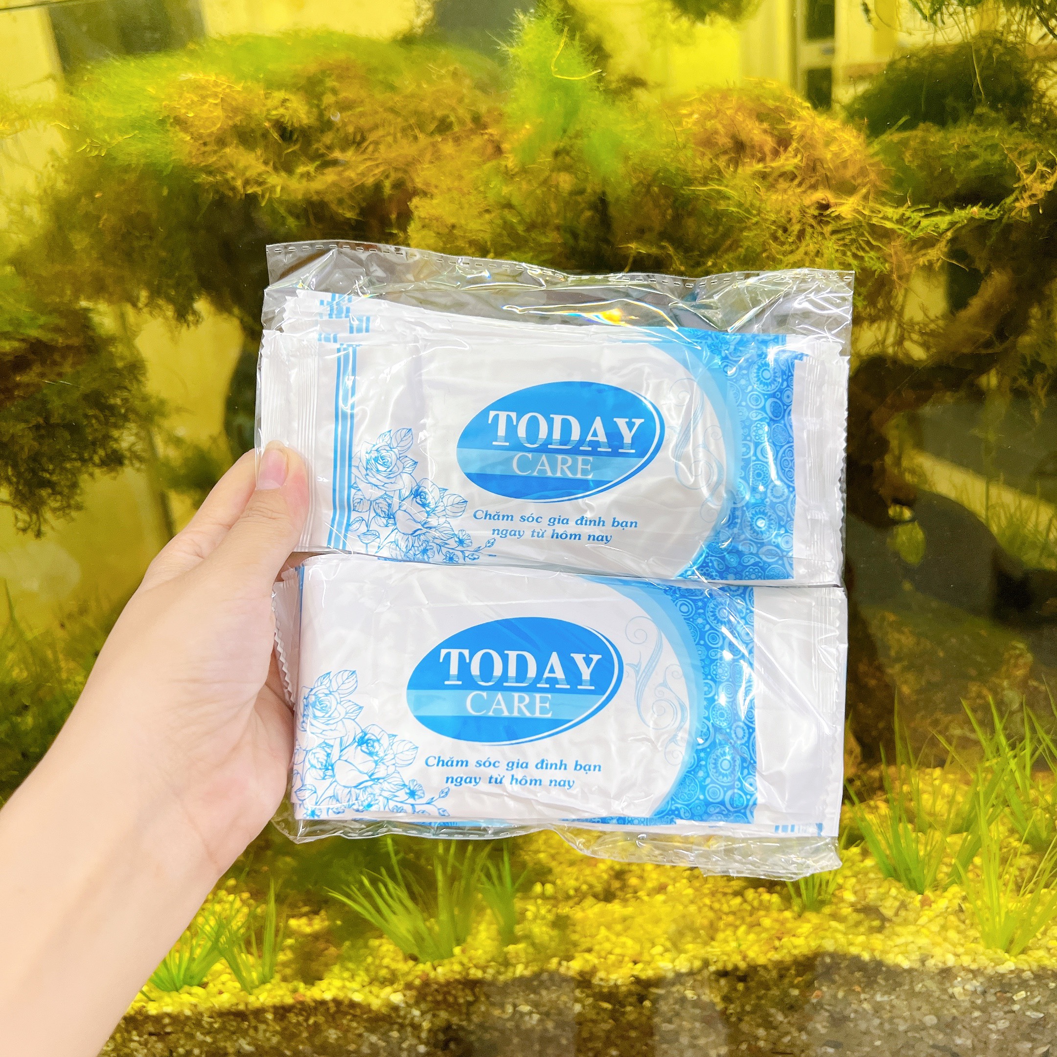 Khăn lạnh dùng 1 lần TODAY - 1 Bịch 20 Cái