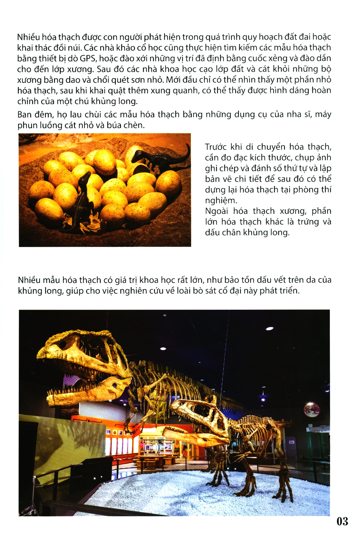 Thế Giới Khủng Long