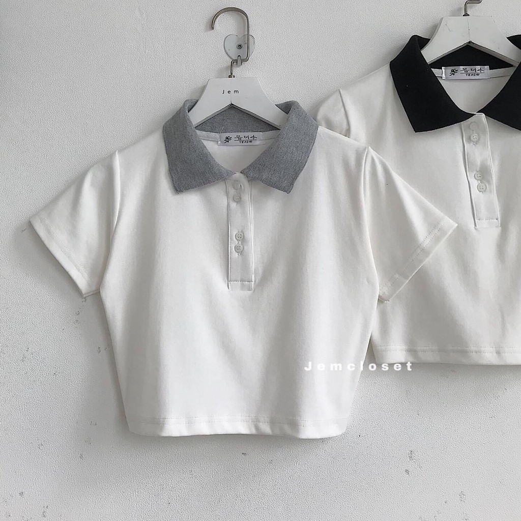 AO CROPTOP PETTER PHỐI CỔ