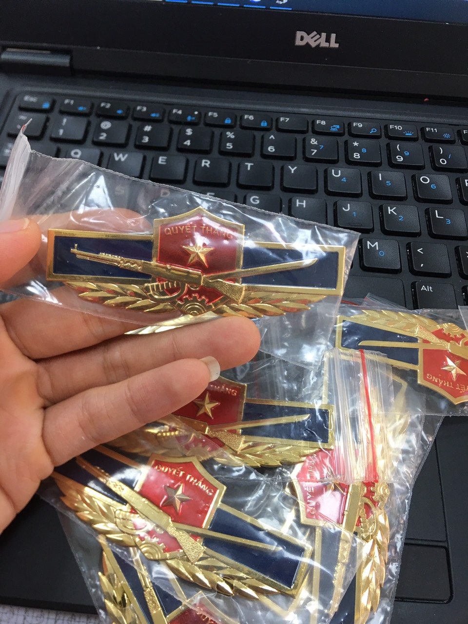 Huy hiệu, phù hiệu cài áo LQ