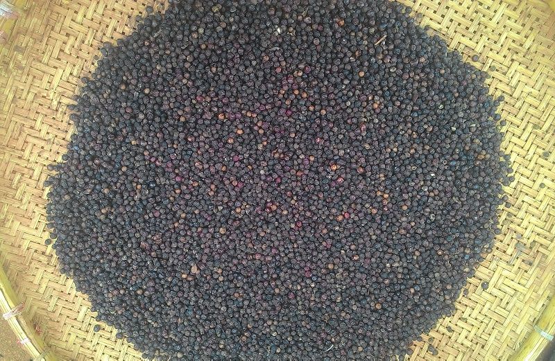 1 KG TIÊU HẠT PHƠI KHÔ NGUYÊN CHẤT DAKLAK