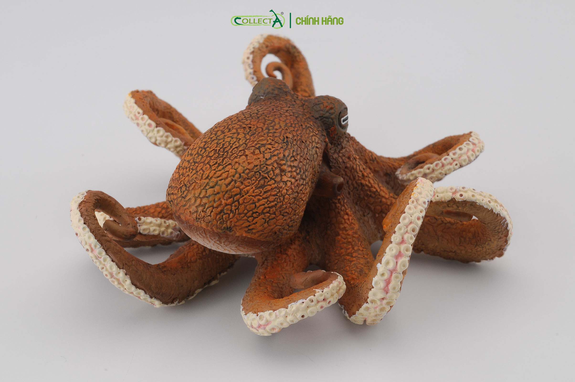 Đồ chơi mô hình động vật CollectA Bạch Tuộc - Octopus