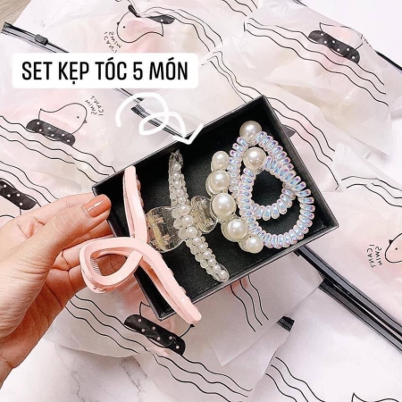 [HCM]Set 5 Kẹp Tóc Ngọc Trai Siêu Sang Chảnh cột tóc ngọc trai