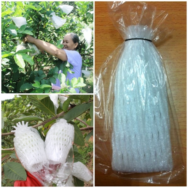 Túi xốp bọc ổi (1kg) 3 chi tiết