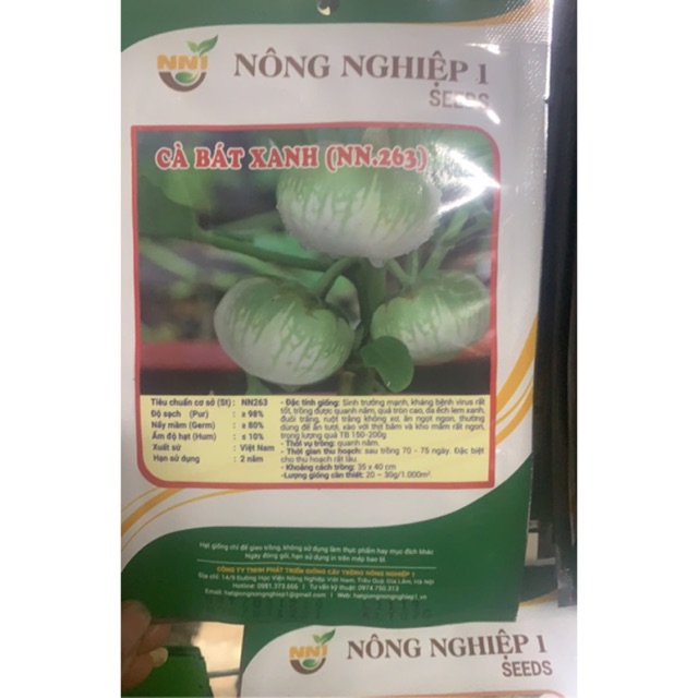 Hạt giống cà bát xanh cao sản