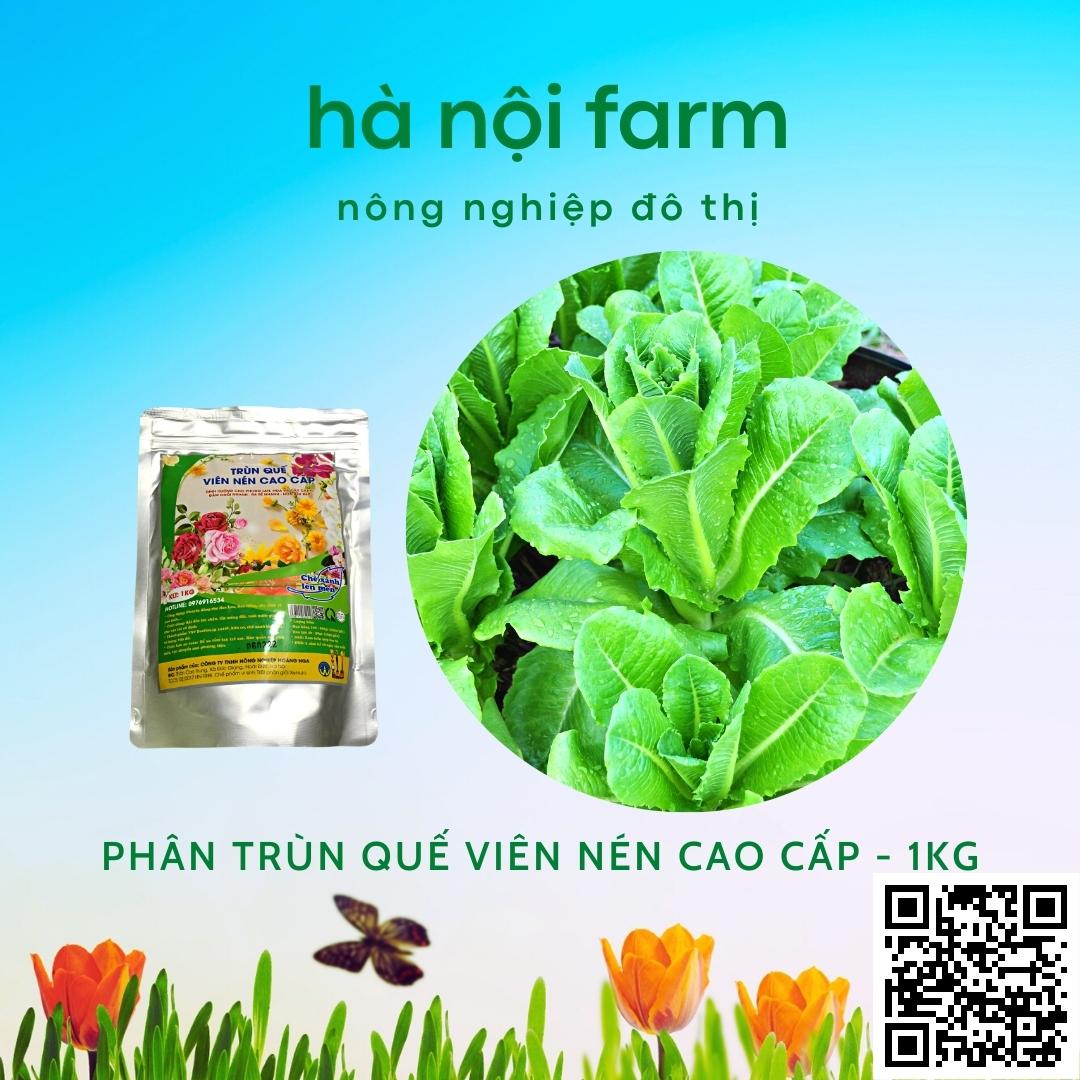 phân trùn quế viên nén cao cấp - gói 1kg