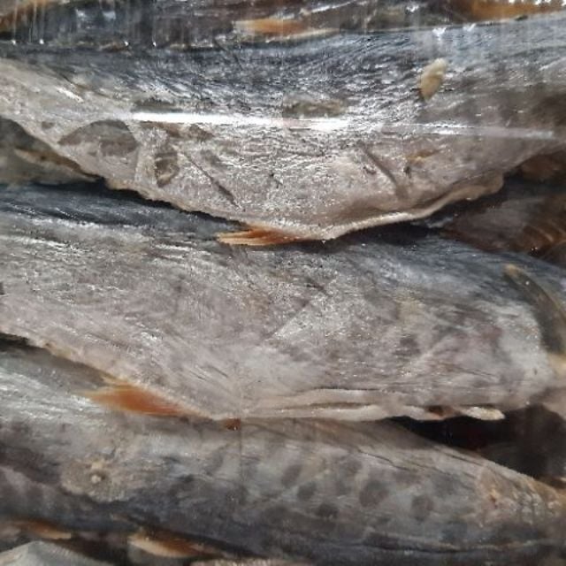 COMBO mực khô, cá khô