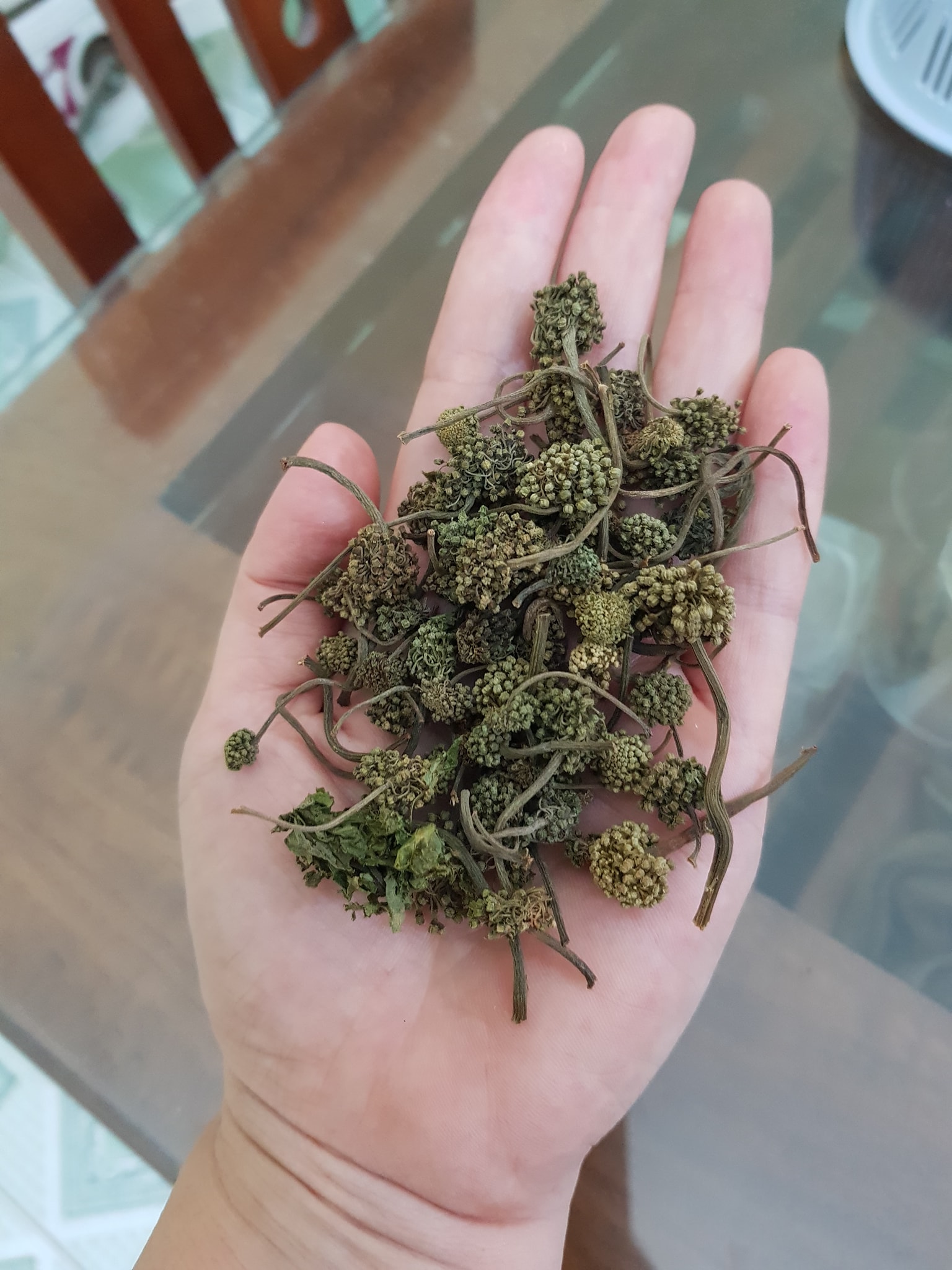 Nụ hoa tam thất khô
