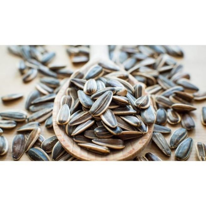sỉ toàn quốc 500g hạt hướng dương chín