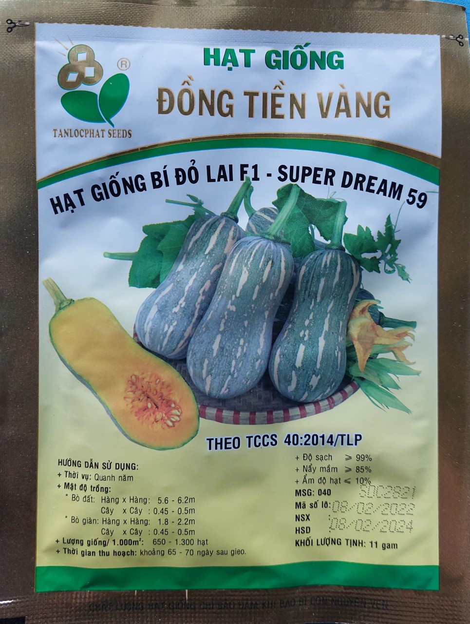 Hạt giống bí đỏ đồng tiền vàng lai f1_ supper dream 59 _ kl. 11g