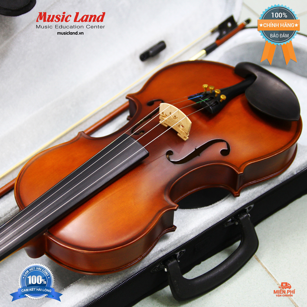 Đàn Violin Victoria - Chính hãng
