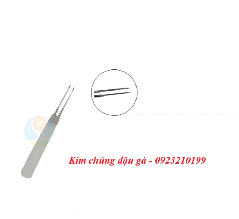 Kim chủng đậu gà 100 chiếc