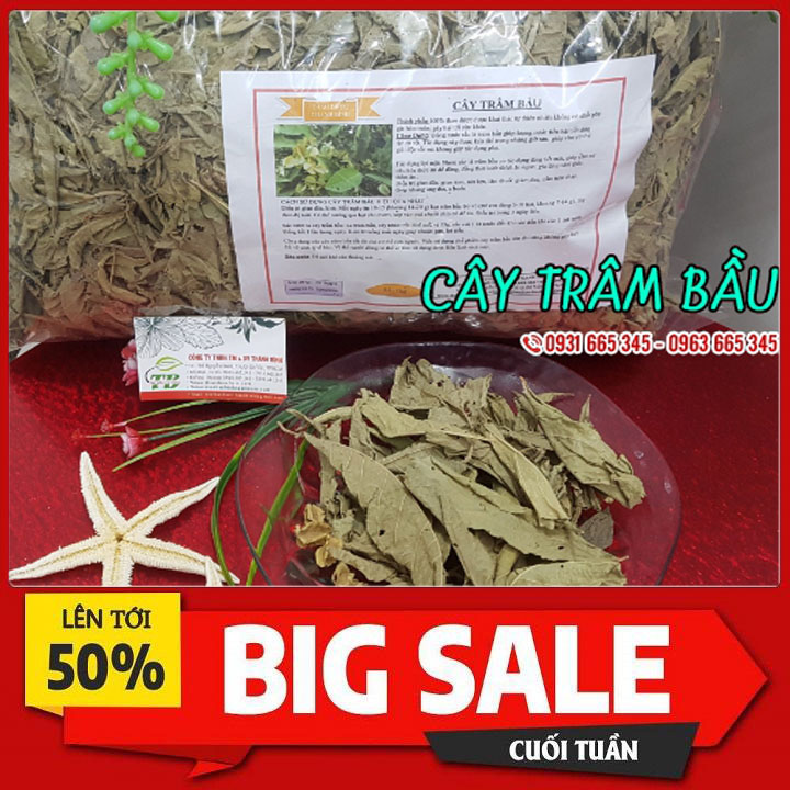 Cây Trâm Bầu Khô 500G  Hàng Cty Loại 1 - Đông Y Thanh Bình