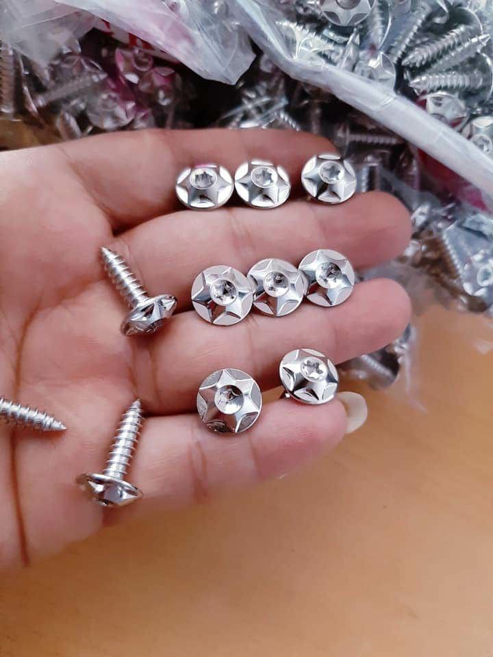 Bộ Ốc Salaya Cho Dàn Áo Sirius Xăng Cơ (1 bộ 20 con)
