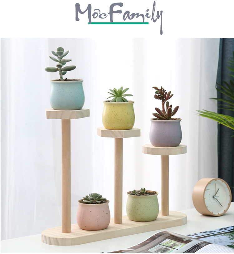Kệ Decor Bàn Làm Việc APF Gỗ Thông