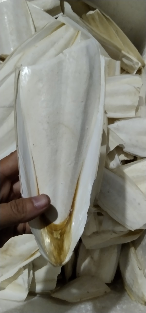 1/2 MIẾNG NAN MỰC SIÊU TO CHO CHIM,VẸT