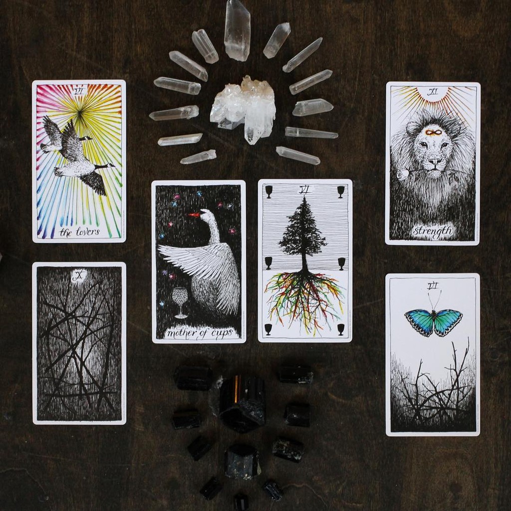 Wild Unknown Tarot Keepsake Box Set