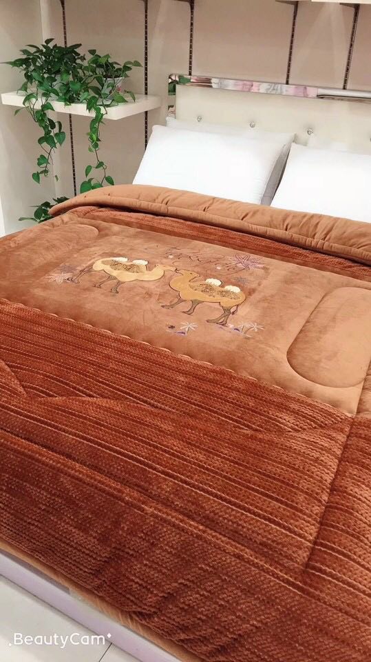 Chăn lông cừu Tây Tạng siêu ấm siêu nặng 5kg (đủ 6 màu)