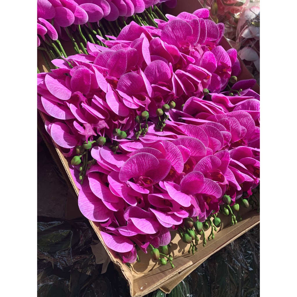 Hoa Lụa 🌺FREESHIP🌺 Lan Hồ Điệp Cao Su 5 Bông