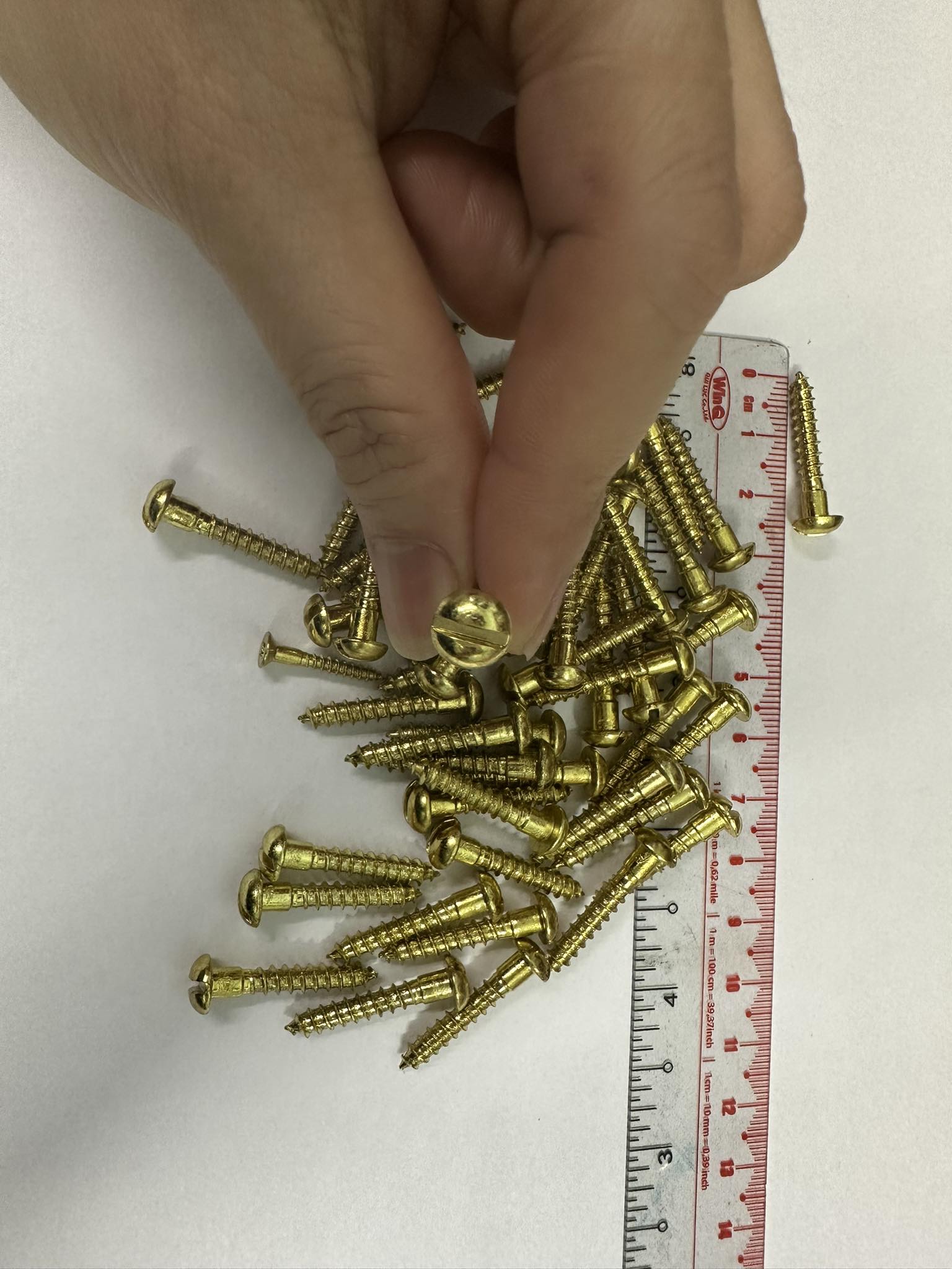 [HCM]Combo 100 con vít đồng thau 4x25mm
