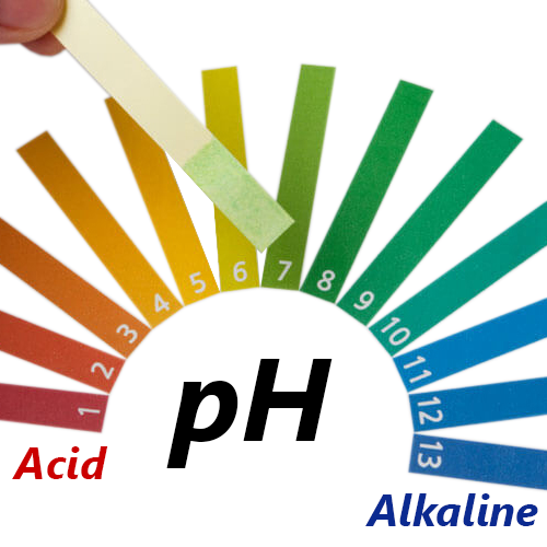 Giấy Quỳ tím đo pH 1-14 tập 80 tờ