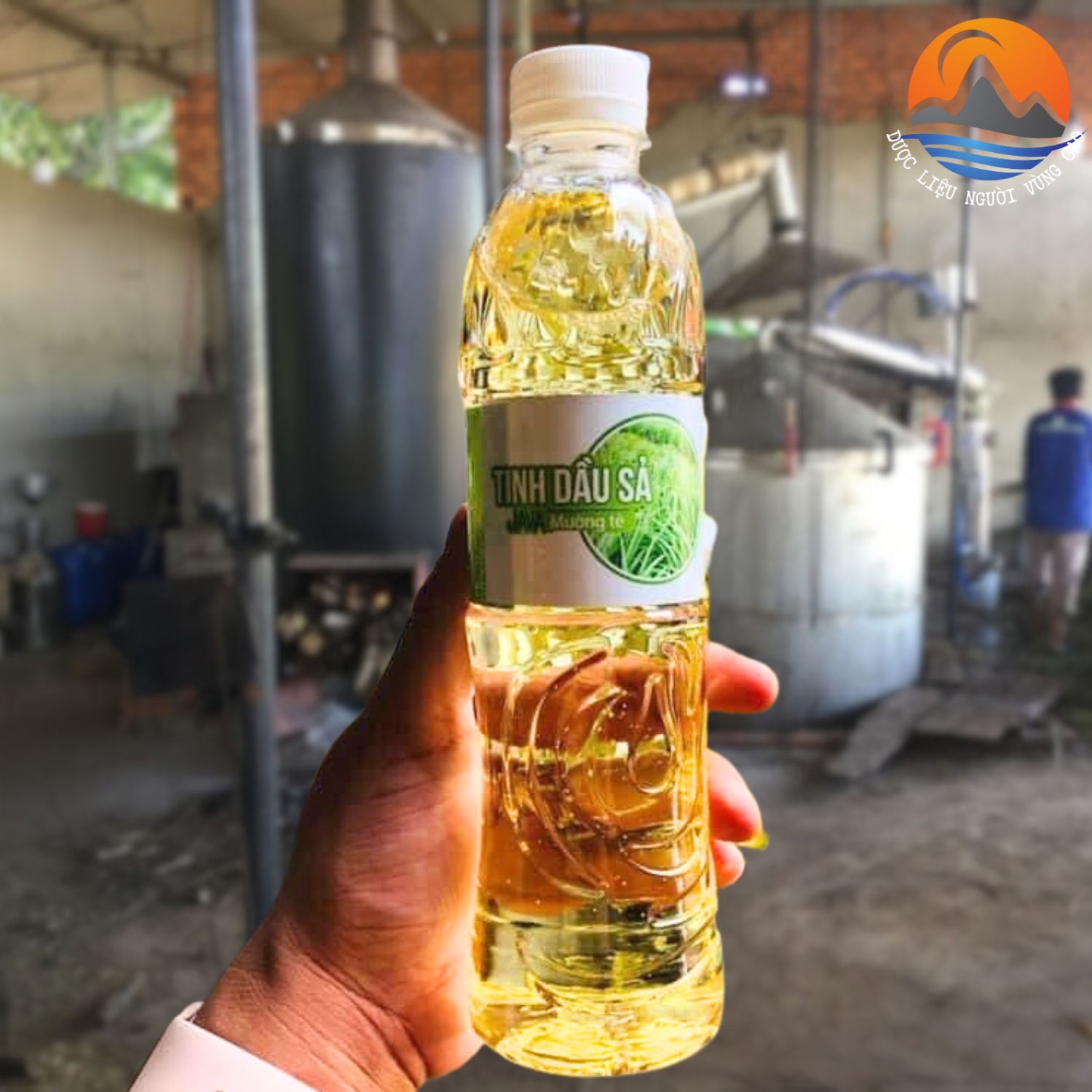 Tinh dầu sả java nguyên chất (chai 500ml) chưng cất thủ công thơm, khử mùi, đuổi côn trùng - Tinh dầu xả xã Java Mường Tè