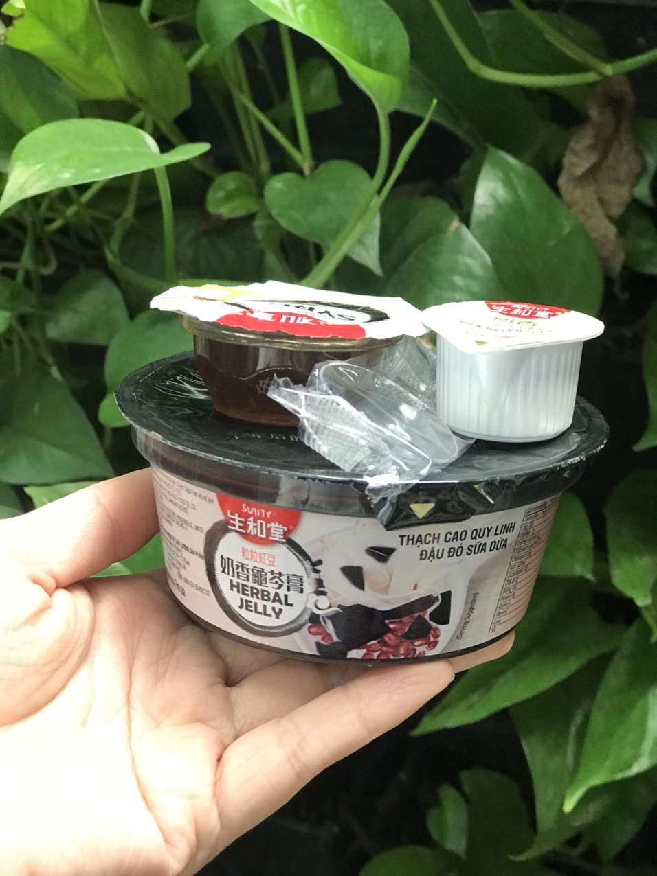 Thạch cao quy linh đậu đỏ sữa dừa 222g [Hàng nhập khẩu]