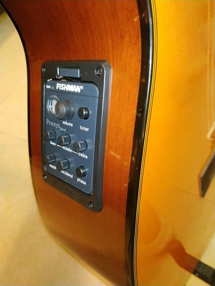 EQ Guitar Fishman 301