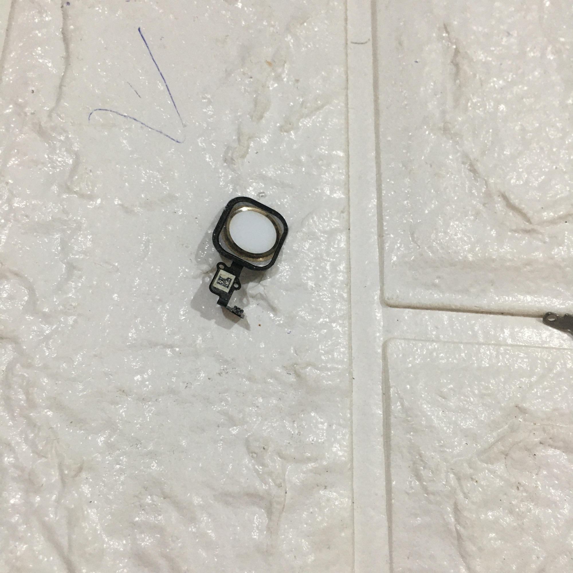 Nút Home IPhone 6 Zin Hàng Cao Cấp