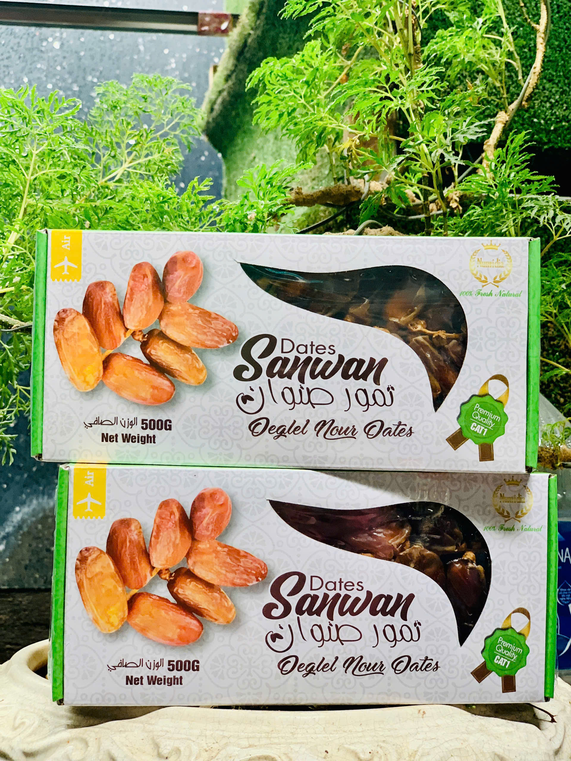 Sỉ 1 thùng chà là nguyên cành Isarel (10-12 hộp/thùng)