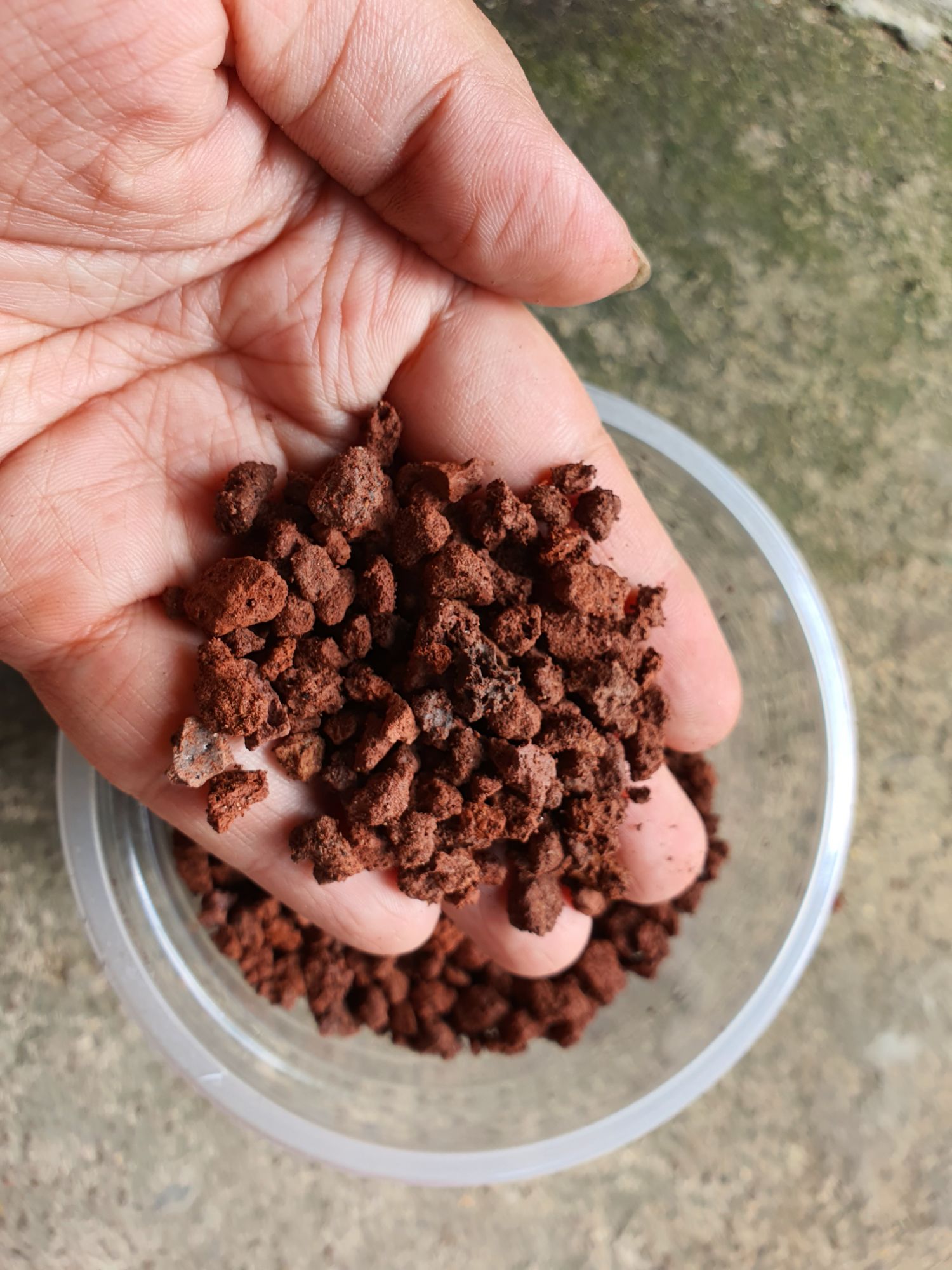 1kg Đá nham thạch Lava Đỏ size 3 - 6 mm