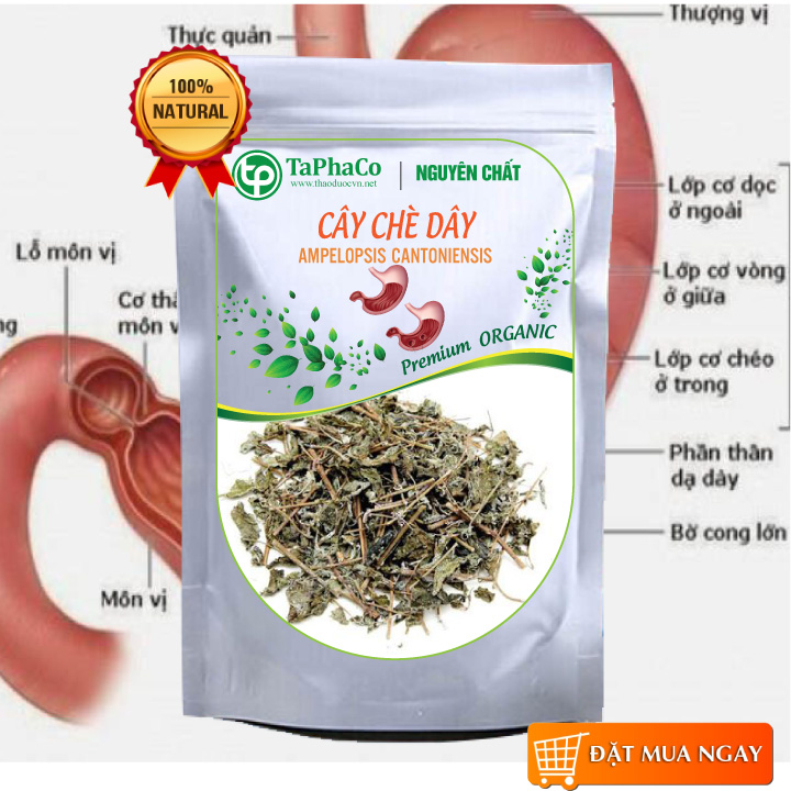 Chè dây trị dạ dày 1kg - Tấn Phát