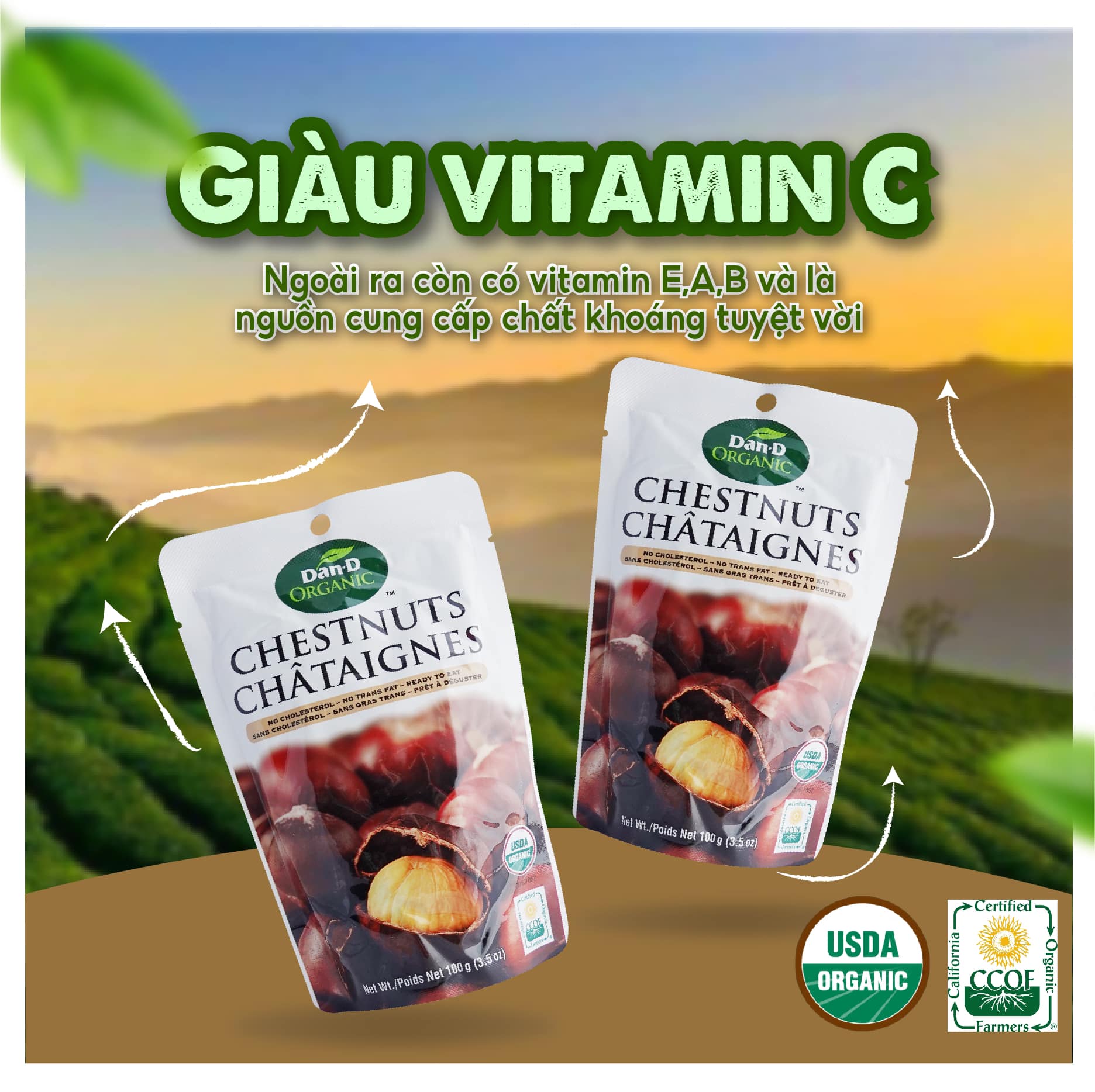 Hạt Dẻ Hấp Dan D Pak I Chest Nuts Ogranic I 100g