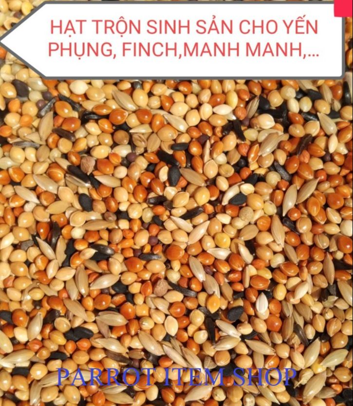 Combo 10kg hạt trộn yến phụng