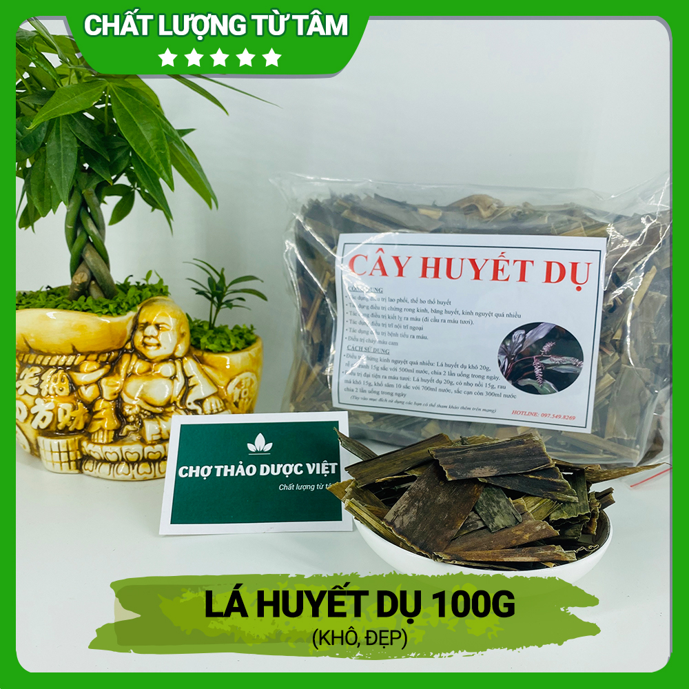 Lá huyết dụ khô 100g, hỗ trợ điều hòa kinh nguyệt, bổ máu, giảm đau nhức xương khớp