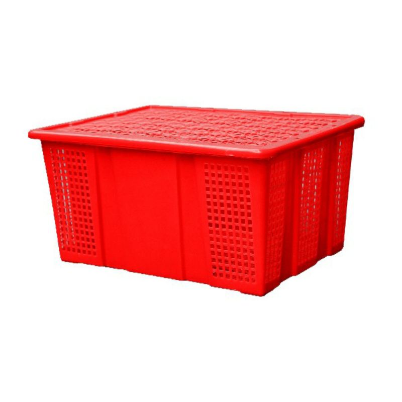 sóng trái cây có nắp ( đỏ ,dương,lá ,vàng)