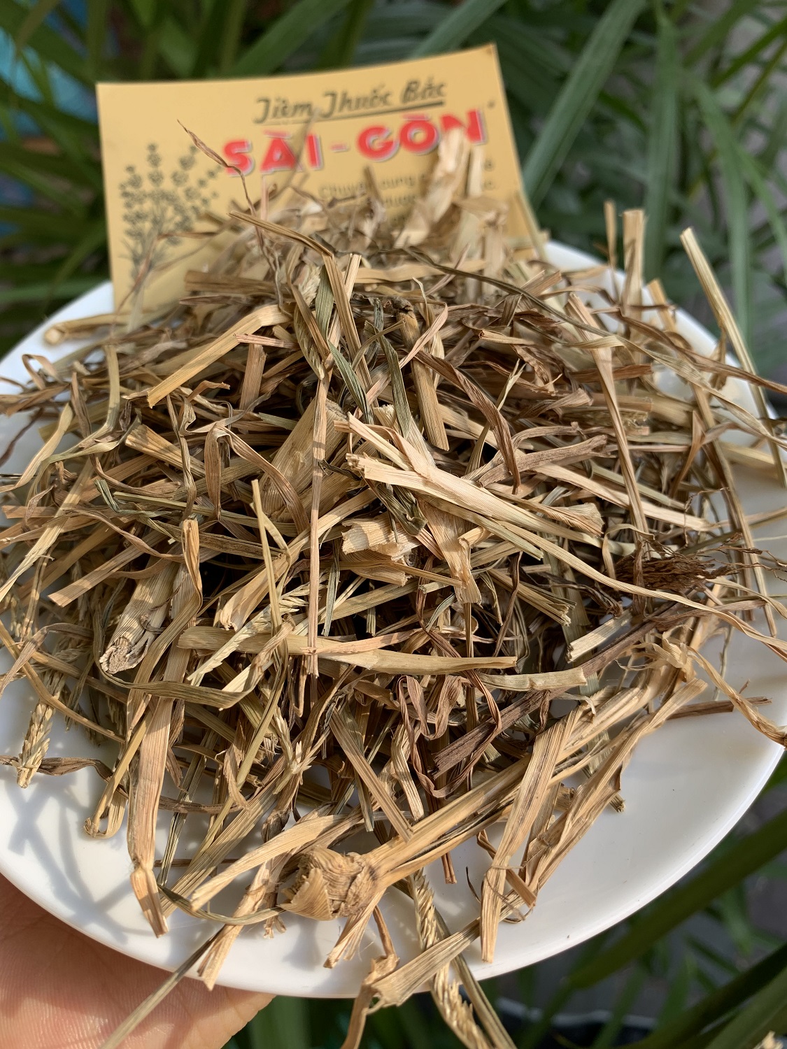 [HCM]CỎ MẦN TRẦU 100 GRAM Tiệm Thuốc Bắc Sài Gòn