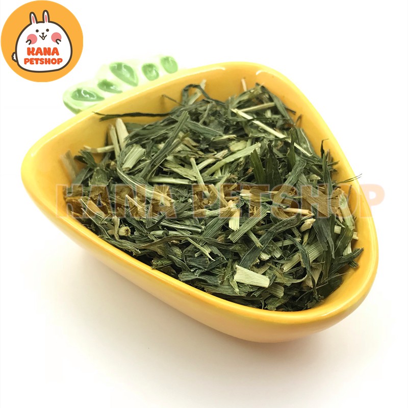 Cỏ Lúa Mạch 🐹FREESHIP🐹 50 Gram Cỏ Lúa Mạch Thức ăn dành cho Thỏ Và Bọ