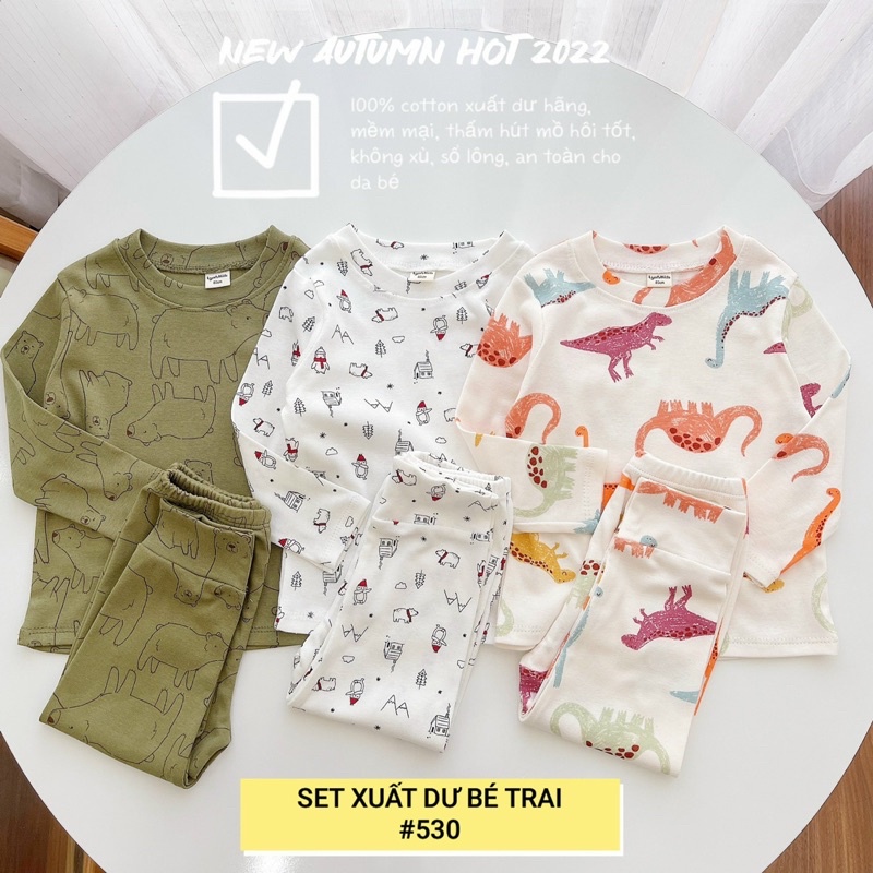 SET 3 BỘ COTTON XUẤT DƯ CHO BÉ TRAI