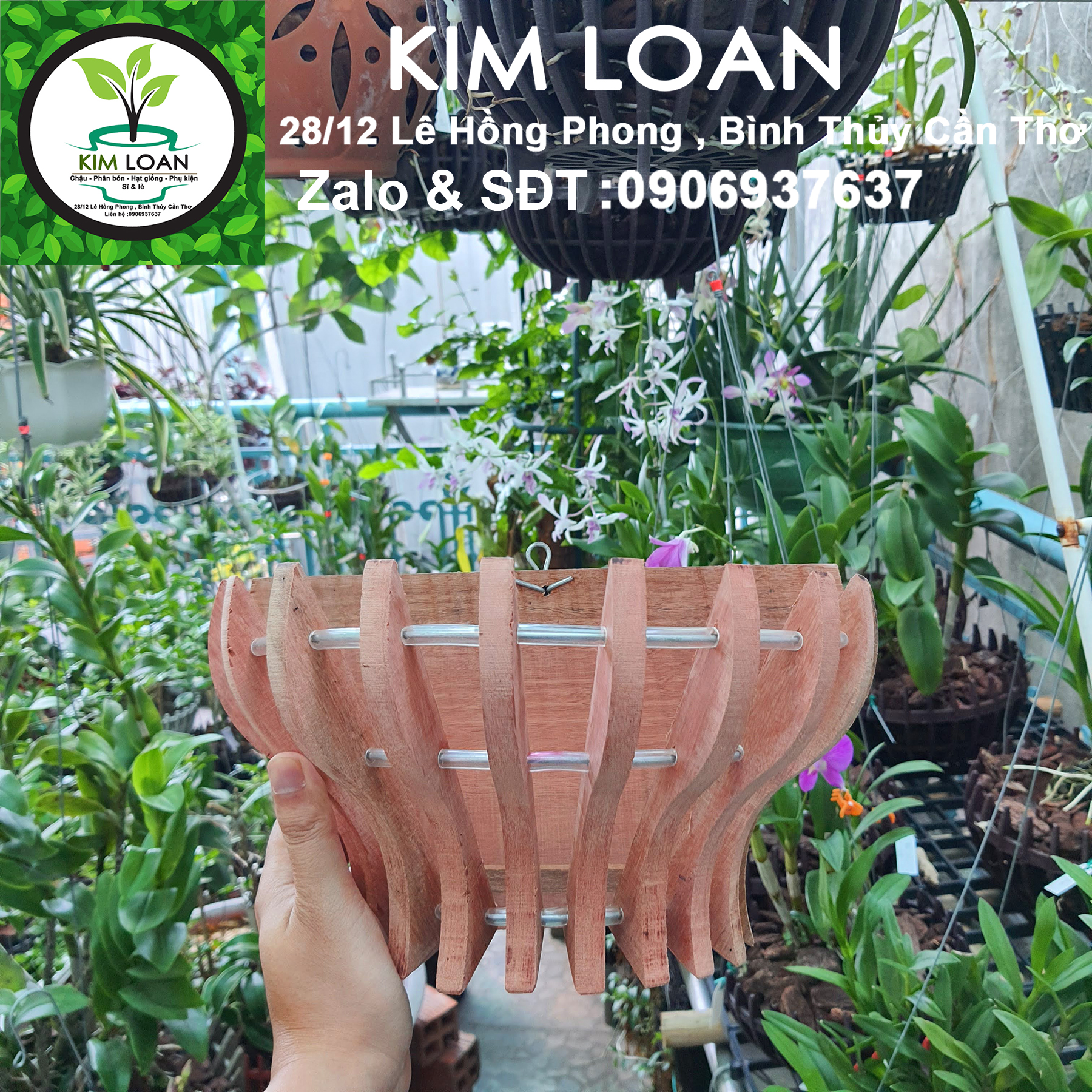Chậu lan gỗ ốp tường