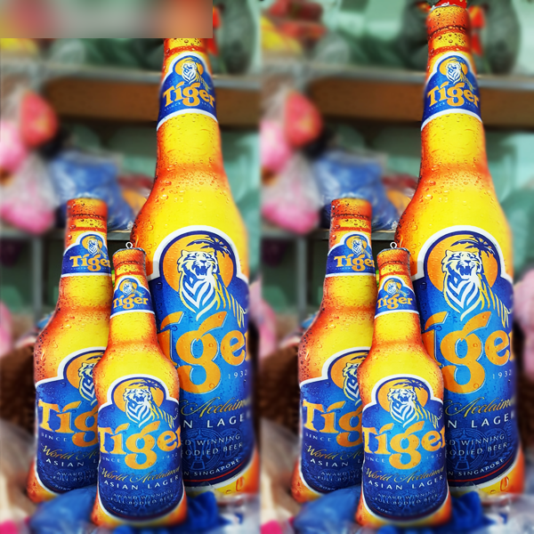 Gối Ôm Chai Bia Tiger Độc Đáo Siêu Giống Thật (25cm---150cm) Vải Nhung Mềm Mịn Cao Cấp An Toàn Cho Bé Và Người Lớn