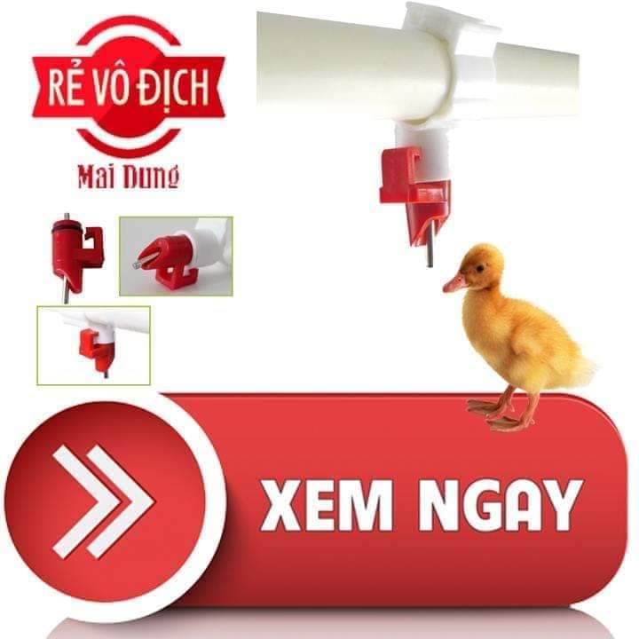 10 cái máng uống tự động cho vịt  dạng núm