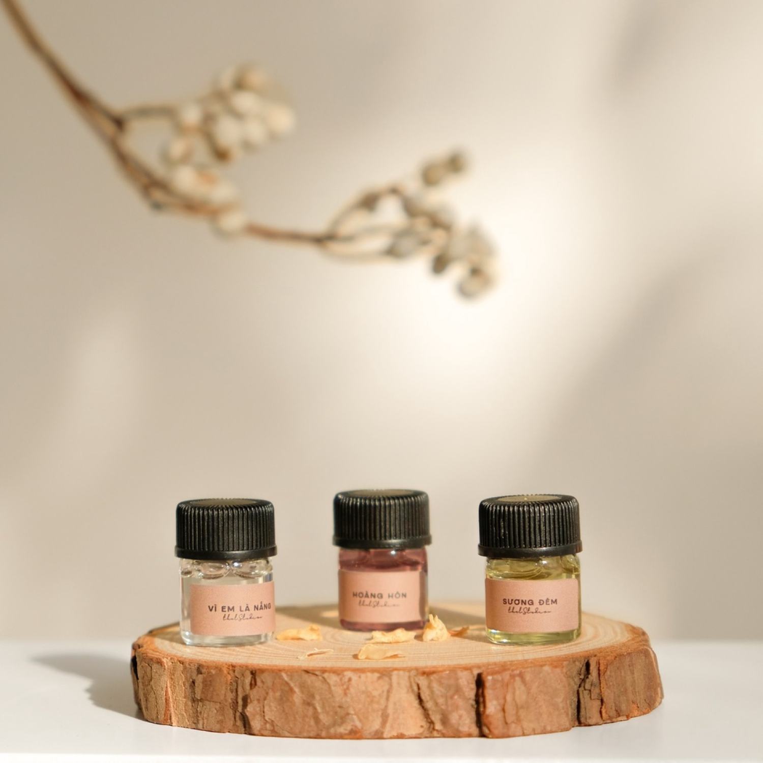 THELSTUDIOS - Nước hoa THEL Perfume
