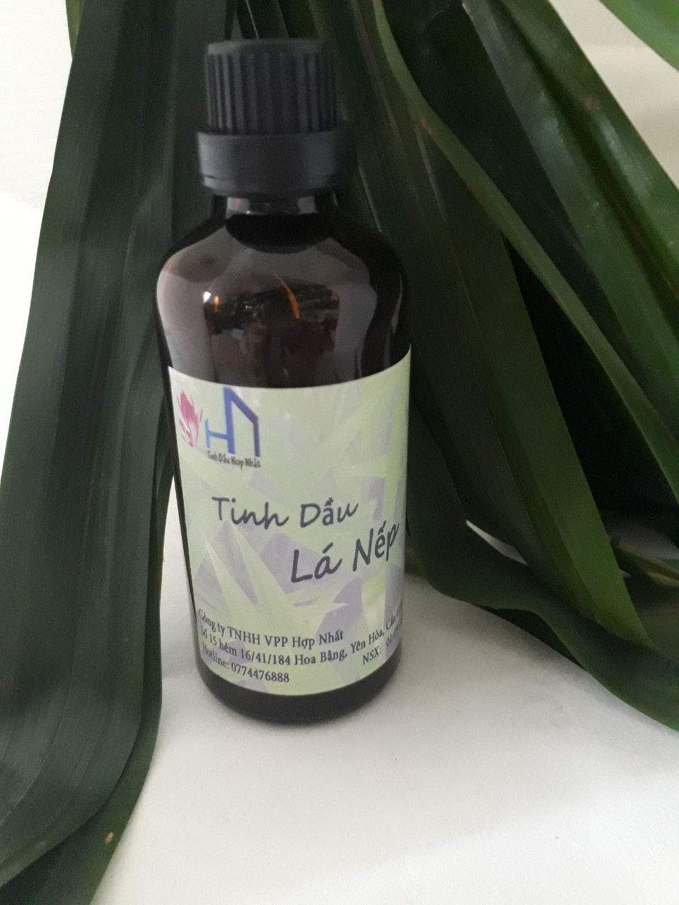 Tinh dầu Lá Nếp thơm Lọ 100ml