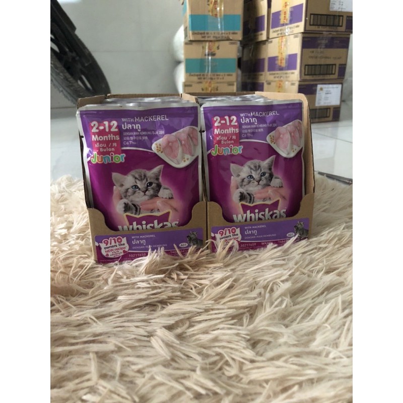 Combo 24 Gói Pate Mèo Con Whiskas 80g [ date 2024]