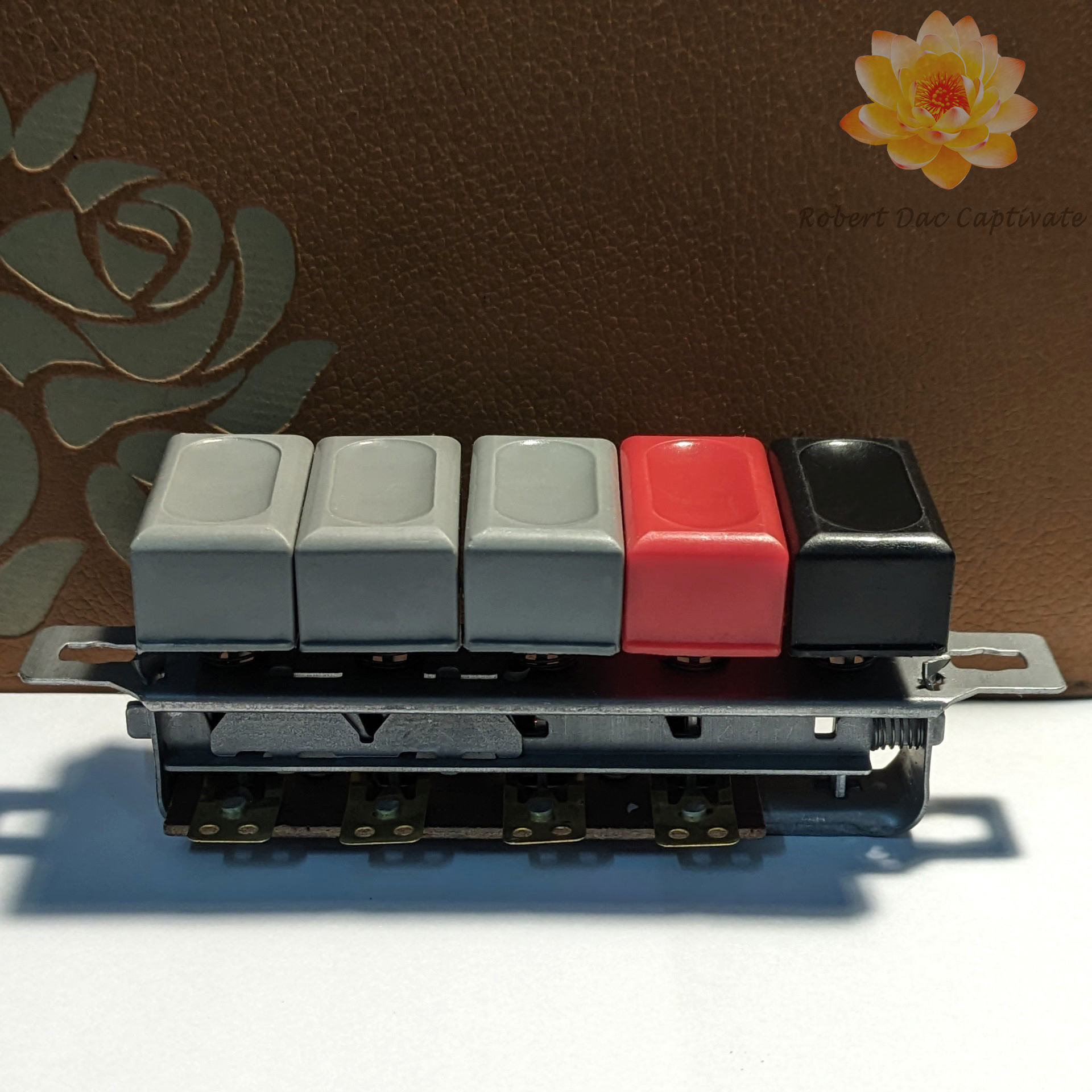 Công tắc quạt cây 5 số vuông