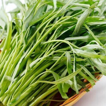 Hạt giống rau muống cao sản (dạng lá tre) - gói 50gram