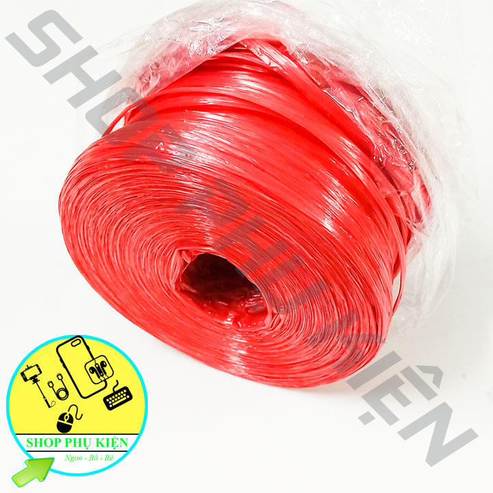 Cuộn Dây Dứa Buộc Hàng Loại 1kg Mềm